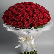Букет 101 Красная роза Блэк Мэджик в Яреге
