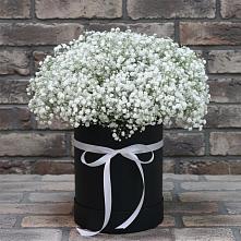Цветочная композиция из Гипсофила в шляпной коробке #REPLACE_PRED# Яреге