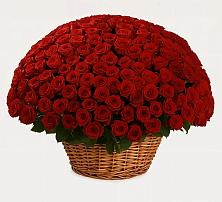 Премиум букет из: Розы в Яреге